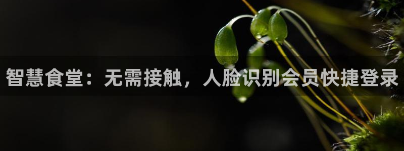 凯时国际app首页下载：智慧食堂：无需接触，人脸识别会员快捷